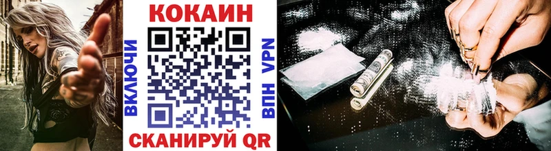 Cocaine FishScale  купить закладку  Шацк 