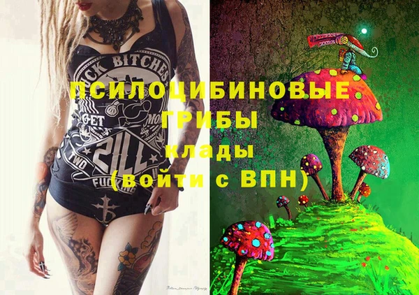 эйфоретик Белокуриха