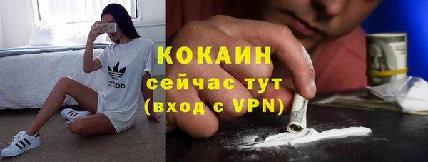эйфоретик Белокуриха
