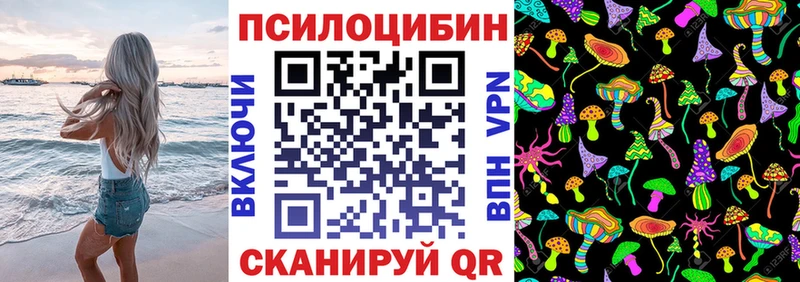 Галлюциногенные грибы Cubensis  Шацк 
